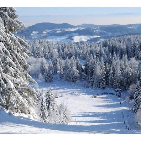 Le Bonhomme Proche De Kaysersberg Et Du Lac Blanc Exteriér fotografie